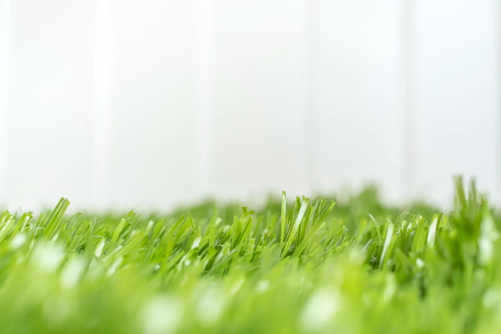 Close-up of artificial turf blades against a white background