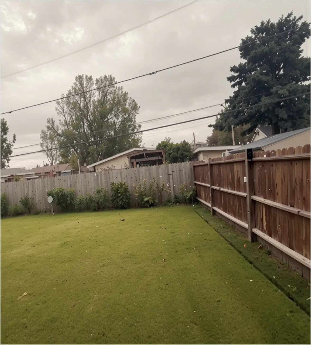Backyard with a new sod lawn and wood fence in Houston, TX